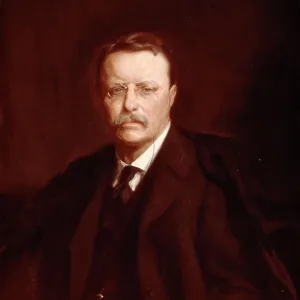 Moments of Influence: Historic Leaders in Focus Collection: Theodore Roosevelt