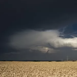 Thick storm clouds gathering over a field of rye with power poles, Bavaria, Germany, Europe