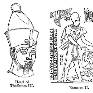 Thutmose III and Ramesses II