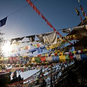 Many tibetan flags are hanged at the Temple in Gan