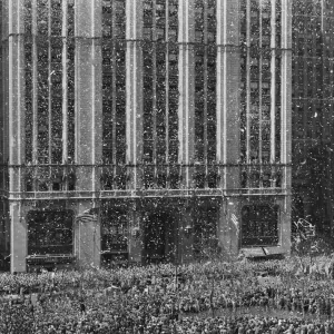 Ticker tape parade Ticker tape parade