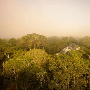 Tikal temple mist