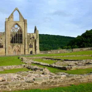 Tintern Abbey, Wales, United Kingdom