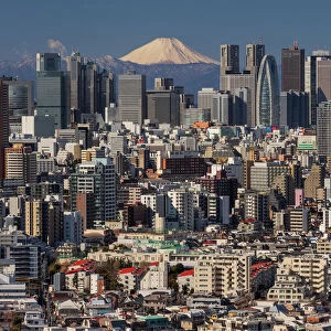 Tokyo cityscape with Mt. Fuji, Tokyo, Japan