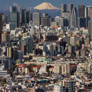 Tokyo cityscape with Mt. Fuji, Tokyo, Japan