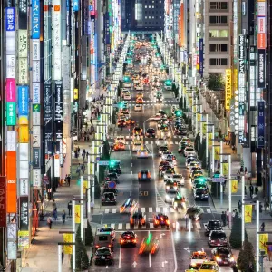 Tokyo Panorama at Night Print