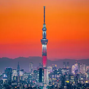 Tokyo Skytree in Orange Twilgiht Sky Tokyo Skytree in Orange Twilgiht Sky