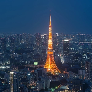 Tokyo tower at night from Roppongi hill
