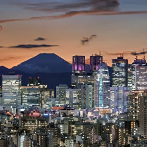 Tokyo Urban Glow