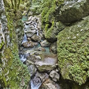 Tolmin Gorge, Emerald Route, Triglav National Park, Tolmin, Goriska, Slovenia
