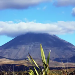 Tongario National Park