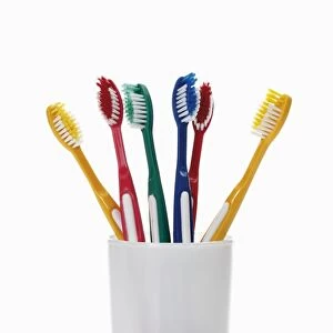 Toothbrushes in a toothbrush tumbler