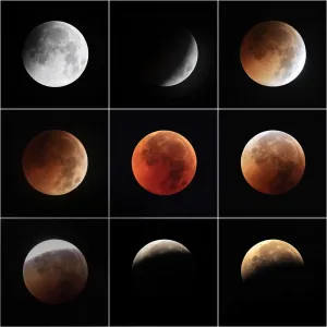 Total Lunar Eclipse Black Print Total Lunar Eclipse Black Print