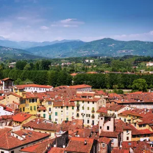 Townscape of red roof tops