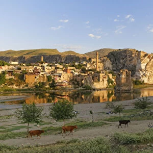 Townscape with the Tigris River, Hasankeyf, Batman Province, Southeastern Anatolia Region, Anatolia, Turkey