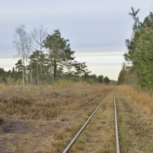 Tracks of a narrow-gauge peat railway, Tiste Bauernmoor, Landkreis Rotenburg, Lower Saxony, Germany