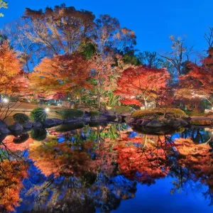 Traditional Japanese Garden Print Traditional Japanese Garden Print
