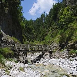 Trail in the Griessbachklamm gorge, Erpfendorf near St. Johann, Tyrol, Austria, Europe