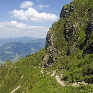 Trail on the Kitzbueheler Horn at St. Johann, Tyrol, Austria, Europe