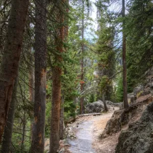 Trail, Yellowstone National Park