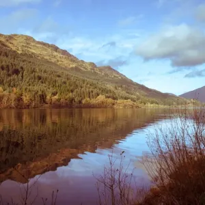 Tranquil Loch Eck in sunshine, Benmore, Cowal Tranquil Loch Eck in sunshine, Benmore, Cowal