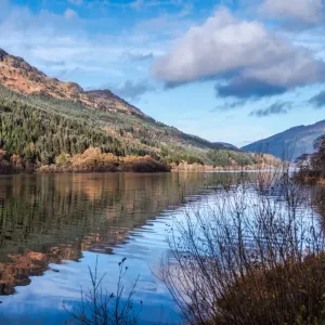 Tranquil Loch Eck in sunshine, Benmore, Cowal Tranquil Loch Eck in sunshine, Benmore, Cowal