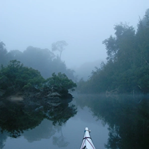 A tranquil morning on the Franklin River, Tasmania