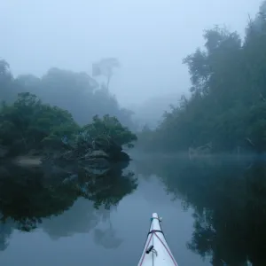 A tranquil morning on the Franklin River, Tasmania