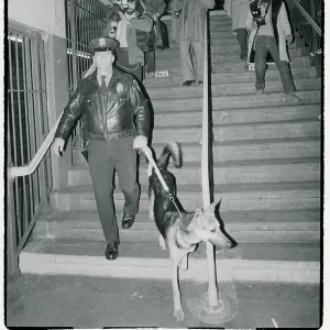 Images Dated 1980 December: 15 Dec 1980