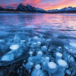 Trapped Bubble under a frozen lake Trapped Bubble under a frozen lake