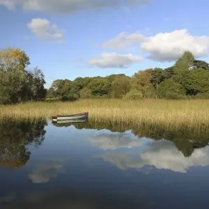 tree: CB2, grass: CB2, clouds: CB2, sky: CB2, county: CB2, landscape: CB1, rowboat: CB2 tree: CB2, grass: CB2, clouds: CB2, sky: CB2, county: CB2, landscape: CB1, rowboat: CB2