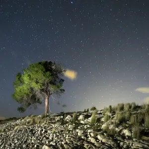 Spring Night Landscape Print Spring Night Landscape Print