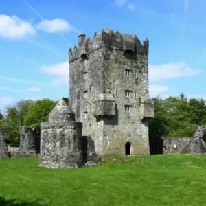 tree, Medieval, retro, vacation, fortress, castle, landmark, architecture, outdoors tree, Medieval, retro, vacation, fortress, castle, landmark, architecture, outdoors