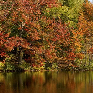 Trees in autumnal colours reflected in lake, Iron Hill, Quebec, Canada