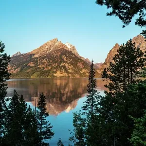 Through the Trees to Jenny Lake Through the Trees to Jenny Lake