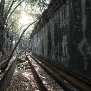 Trees and Thick Brush Consuming the Remaining Walls and Windows at the Unrestored Beng Mealea Temple, Angkor, Cambodia