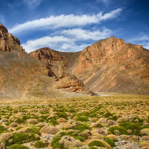 Trek through the High Atlas Mountains