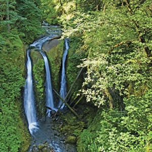 Triple Waterfall