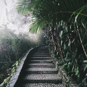 Tropical garden on Pao de Acucar (Sugar Loaf) mountain in Rio De Janeiro, Brazil Tropical garden on Pao de Acucar (Sugar Loaf) mountain in Rio De Janeiro, Brazil