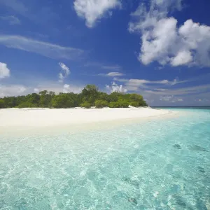 Tropical island surrounded by lagoon, Maldives, In Tropical island surrounded by lagoon, Maldives, In