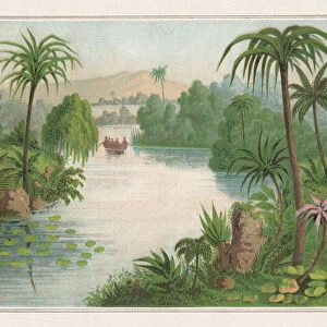 Tropical planting, chromolithograph, published in 1873