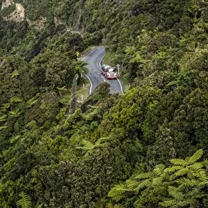 Truck on a country road in dense rain forest, Paparoa National Park, Punakaiki, South Island, New Zealand, Oceania