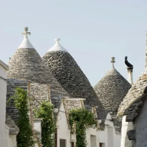 Trulli houses, UNESCO World Heritage Site, Alberobello, Apulia, Italy