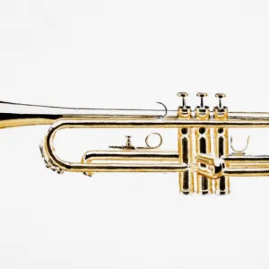 Trumpet, side view