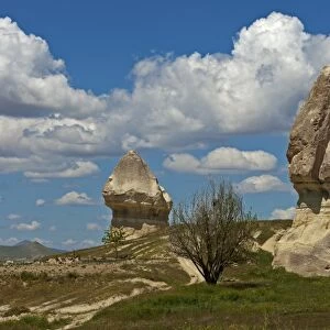 Tuff cones or fairy chimneys, Goreme National Park, Uchisar, Cappadocia, Nevsehir Province, Central Anatolia Region, Turkey