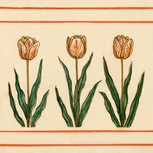Tulips - Kate Greenaway, 1884 Tulips - Kate Greenaway, 1884