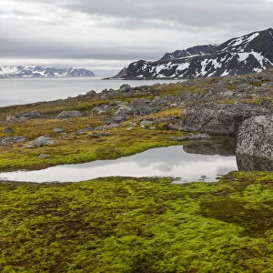Tundra landscape with rocks, Fuglesongen, Spitsbergen, Svalbard, Norway