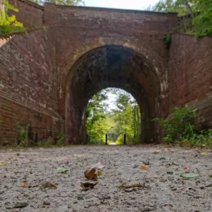 Tunnel