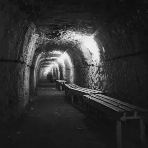 Tunnel Shelter Tunnel Shelter