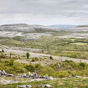 Turloughmore mountain, Burren, County Clare, Ireland, Europe